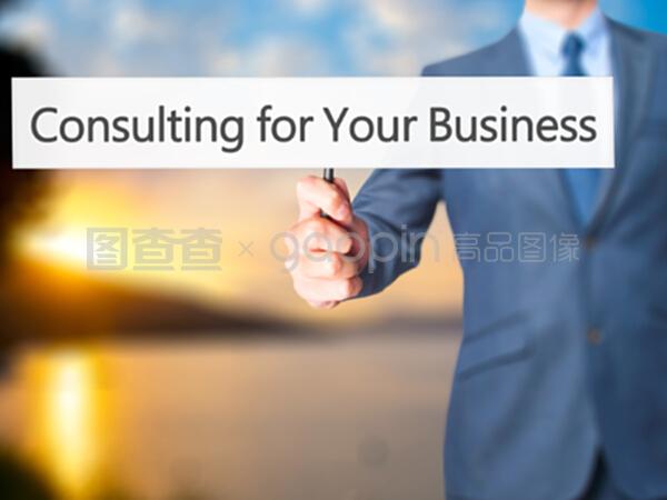 賦能決策，智啟未來 專業(yè)商務(wù)咨詢，商務(wù)人士的戰(zhàn)略導(dǎo)航儀